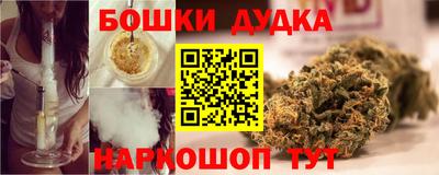 амф Гатчина