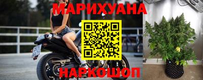 амф Гатчина