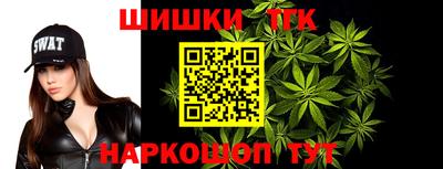 амф Гатчина