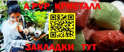амф Гатчина